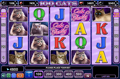 Play 100 Cats