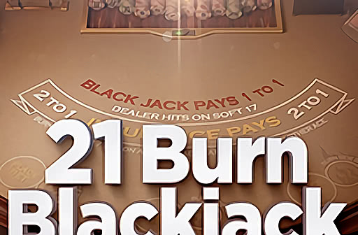 Play 21 Brun Blackjack