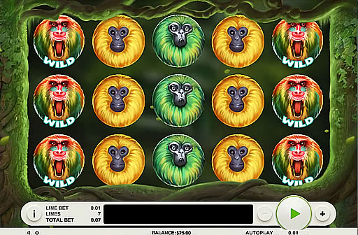 play monkey money slots online free