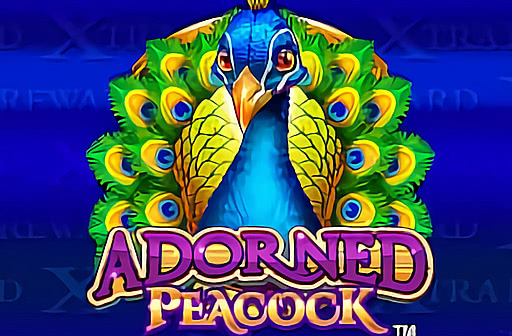 Play Adorned Peacock