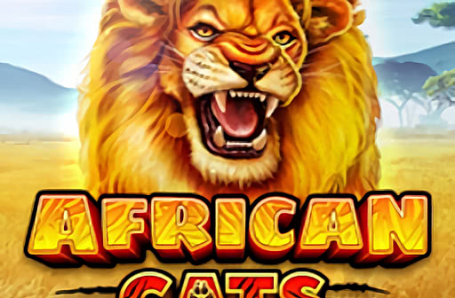 Play African Cats