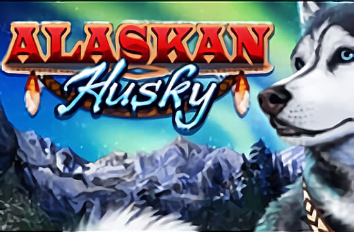 Play Alaskan Husky