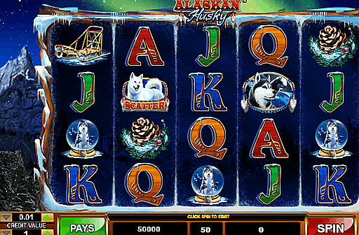 Play Alaskan Husky