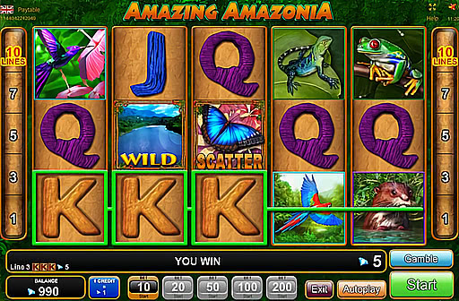 Play Amazing Amazonia