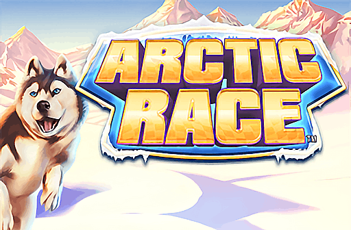 Play Arctic Race
