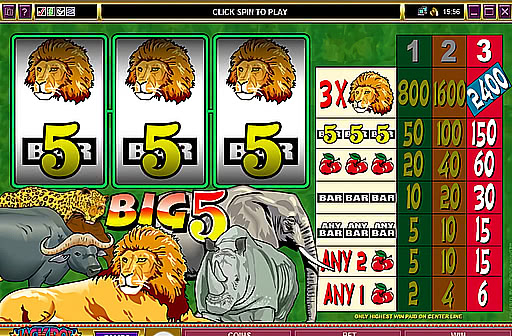 Play Big 5