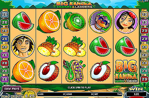Play Big Kahuna Snakes and Ladders