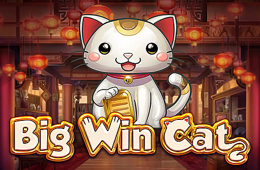Play Big Win Cat