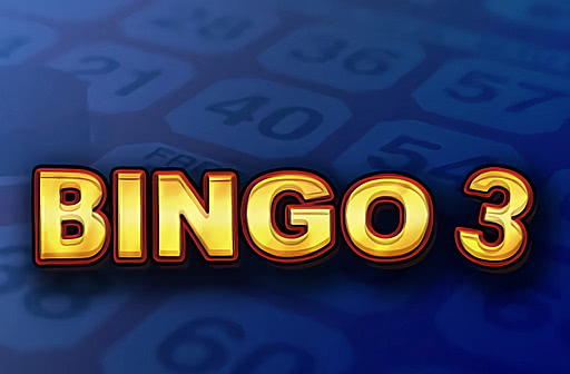 Play Bingo 3