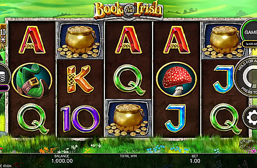 Play Book of the Irish