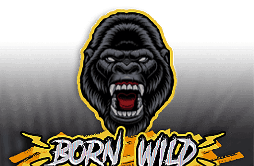 Play Born Wild