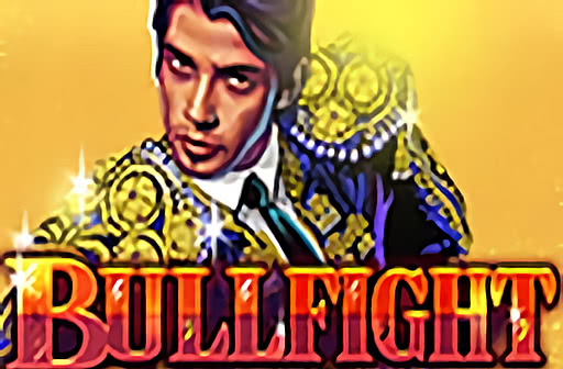 Play BullFight