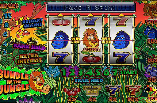 Play Bundle In the Jungle