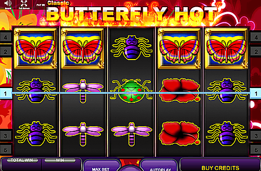 Butterfly Hot