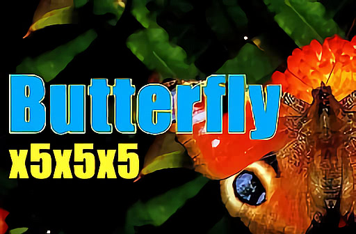 Play Butterfly