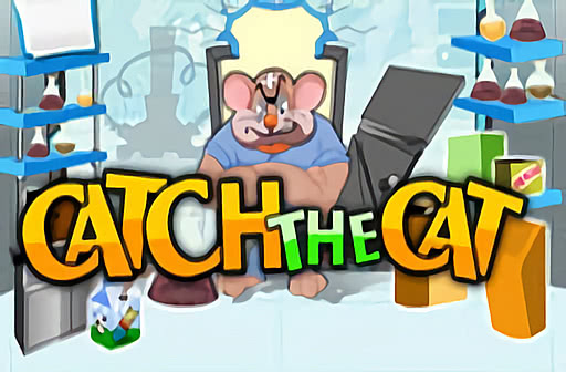 Play Catch the Cat