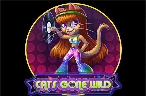 Play Cats Gone Wild