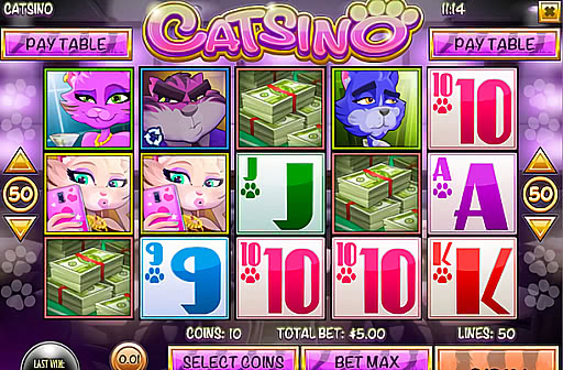 Play Catsino