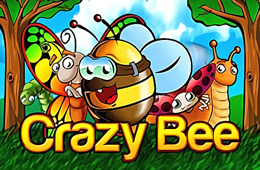 Play Crazy Bee