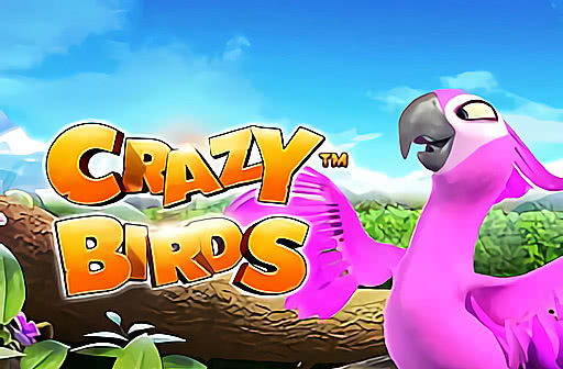 Play Crazy Birds