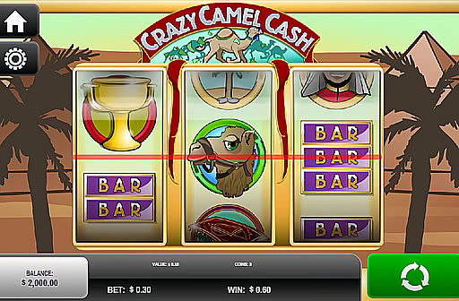Play Crazy Camel Cash