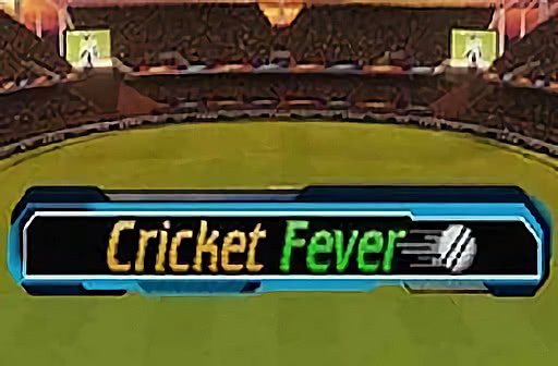 Play Cricket Fever