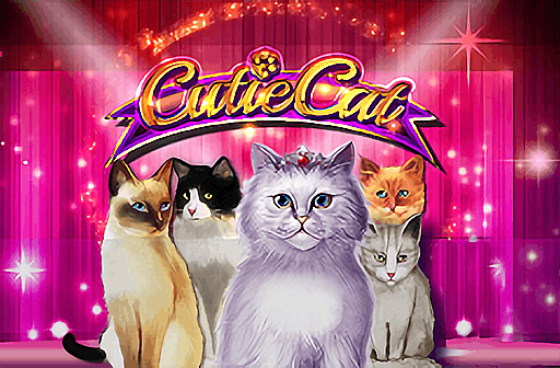 Play Cutie Cat