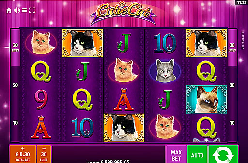 Play Cutie Cat