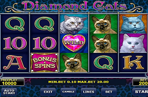 cats free slots no download