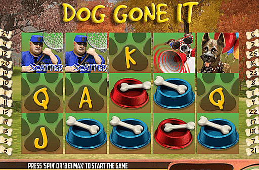 Play Dog Gone It