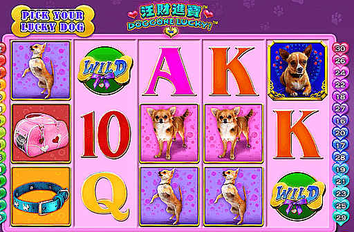 Play Doggone Lucky