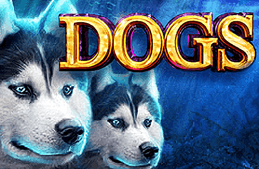 Play Dogs