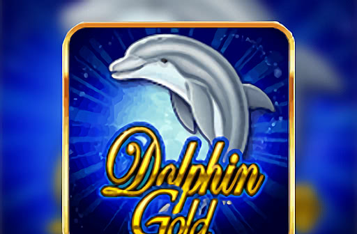 Play Dolphin Gold