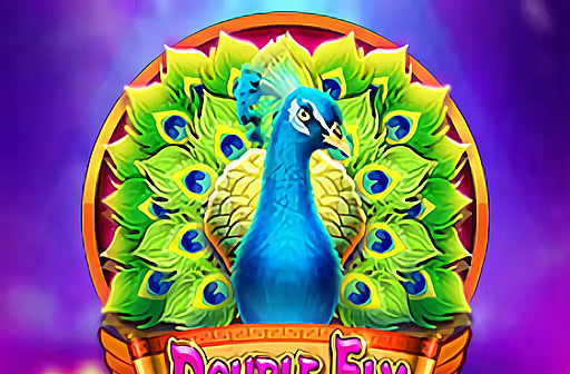 Play Double Fly
