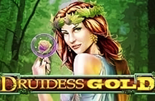 Play Druidess Gold