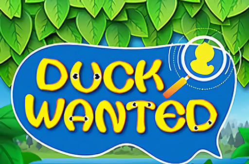 Play Duck Wanted