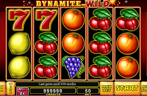 Play Dynamite Wild