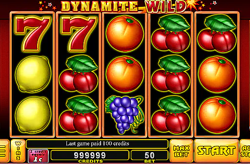 Dynamite Wild