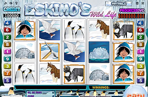 Play Eskimo's Wild Life