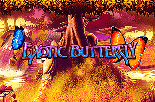 Play Exotic Butterfly