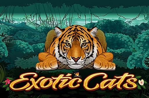 Play Exotic Cats