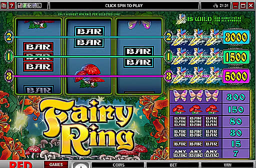 Play Fairy Ring