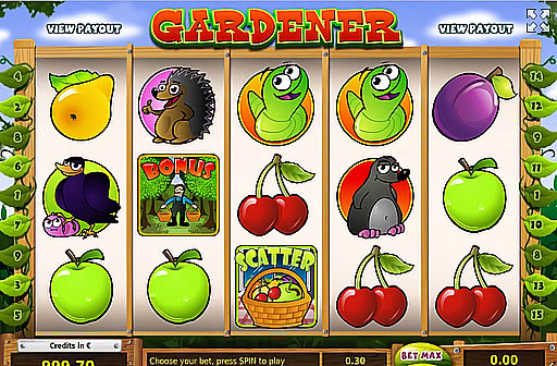 Play Gardener