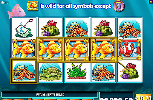 Play Gold Fish