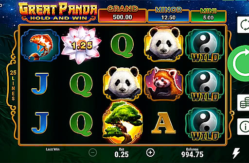 Play Great Panda Hold and Win