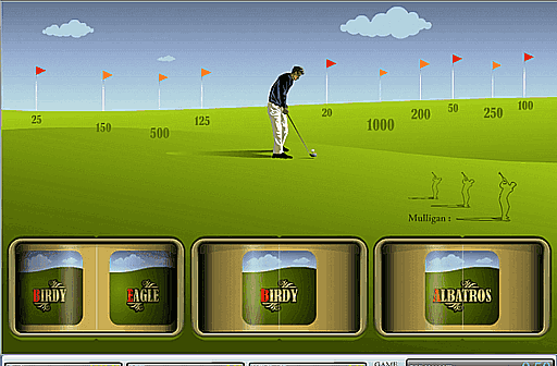 Play Hole in One