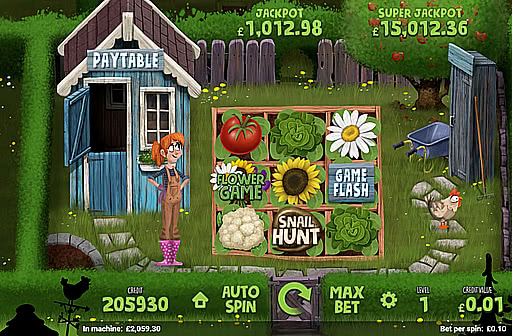 Play Homegrown
