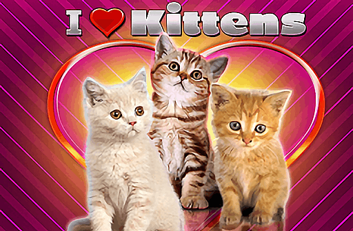 Play I Love Kittens