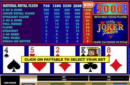 Play Joker Poker