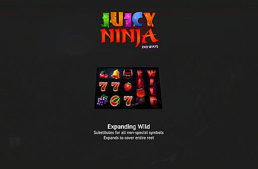 Play Juicy Ninja